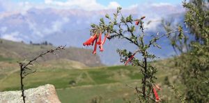 Super Private Colca Canyon Trek 3 Days