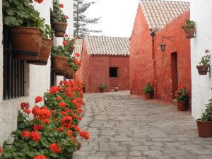 arequipa tours