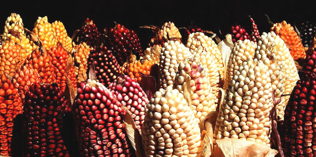 cabanaconde 2 day tour