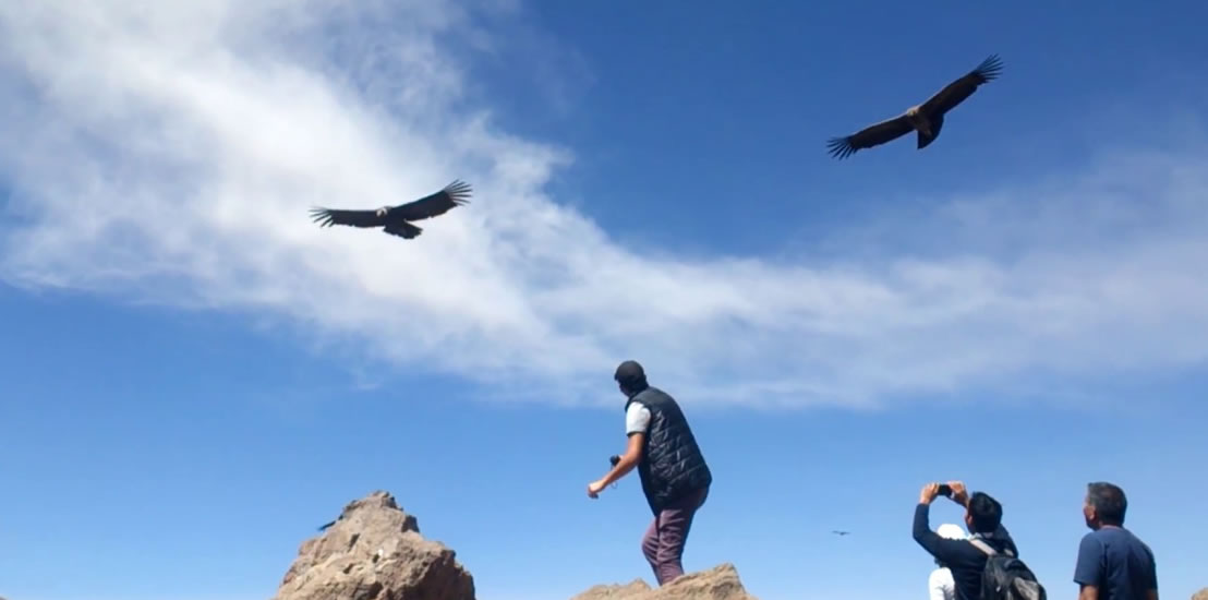 mirador cruz del condor