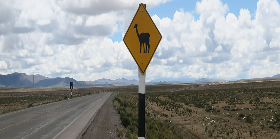 Puno Colca Bus
